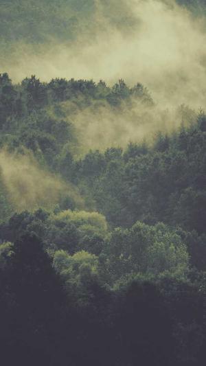 51吃瓜网浏览器截图5