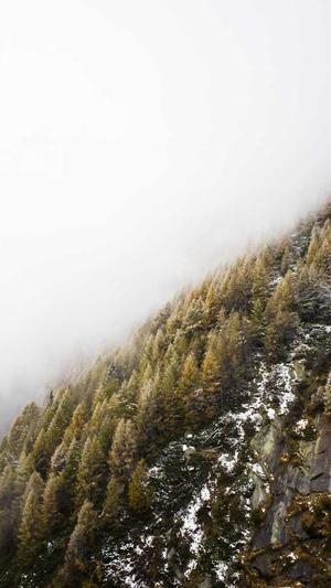 91今日吃瓜截图1