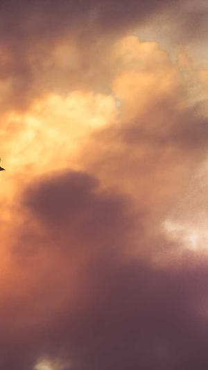 吃瓜网今日吃瓜截图2