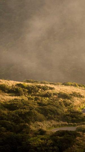 黑料不打烊tttzzz so导航截图3