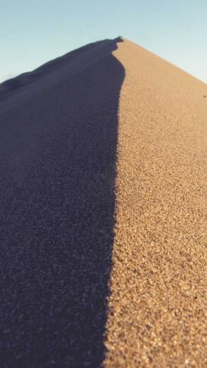 孕妇可以吃佛手瓜截图5