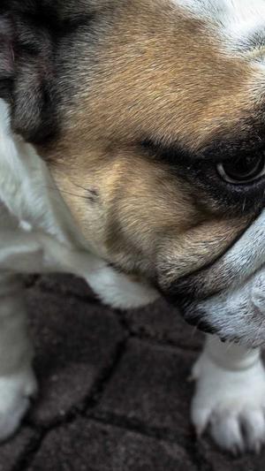 哈密瓜的籽可以吃吗截图5