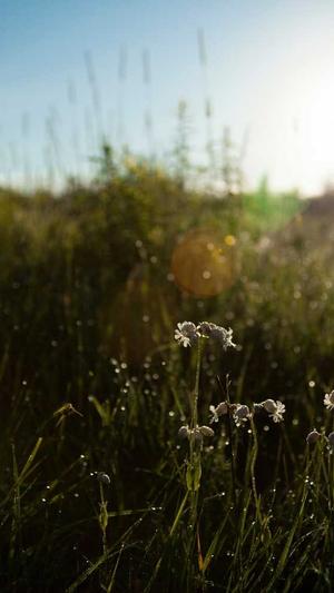 吃哈密瓜会上火吗截图3