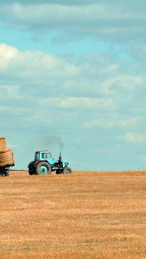 吃瓜黑料社破解版截图1