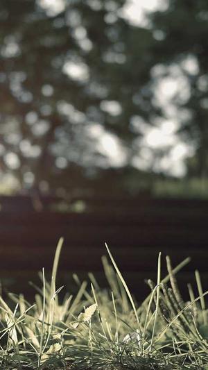 吃瓜51网 - 免费吃瓜截图2