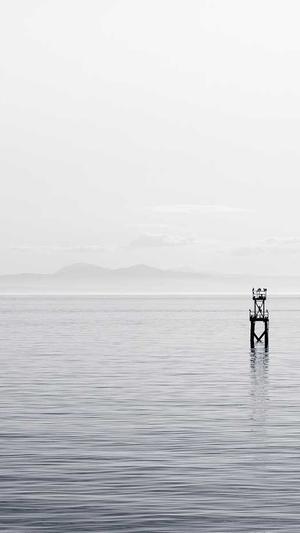 吃瓜网官网下载截图3