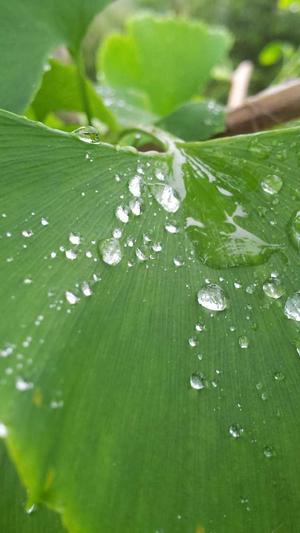 51吃瓜网在线观看截图1