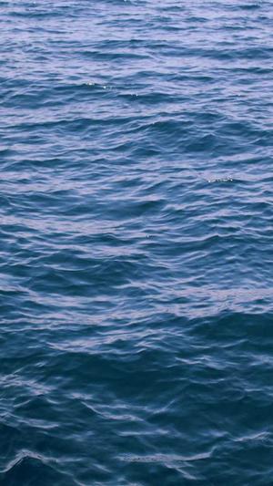 黑料反差婊截图4