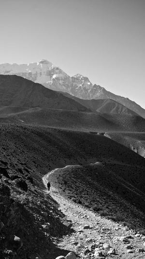 哈密瓜几月份吃截图5