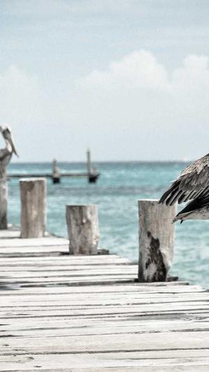 孕妇可以吃哈密瓜么截图4