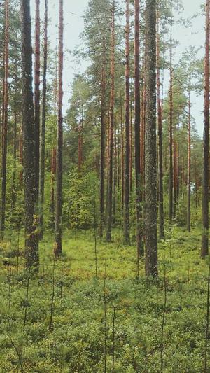 瓜瓜吃瓜讲课课件图片截图2