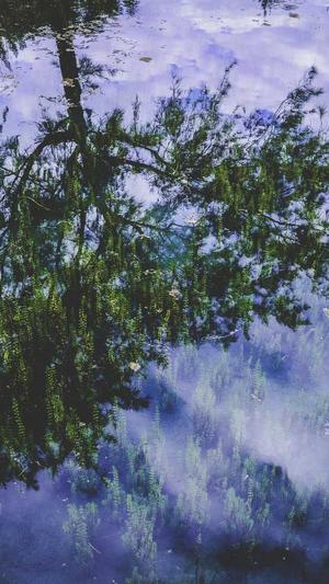 女配吃瓜日常截图2