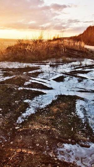 贵妃娘娘在线吃瓜截图3