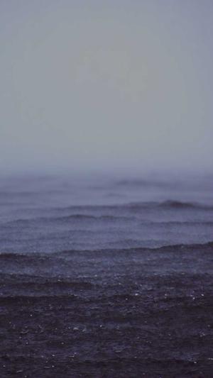 吃瓜吃到自己家截图5