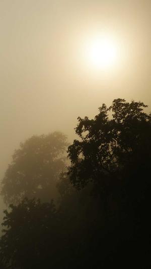 黑料不打烊传送门截图3