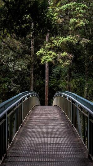 吃哈密瓜好吗截图5