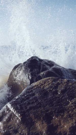 黑料不打烊网页截图3