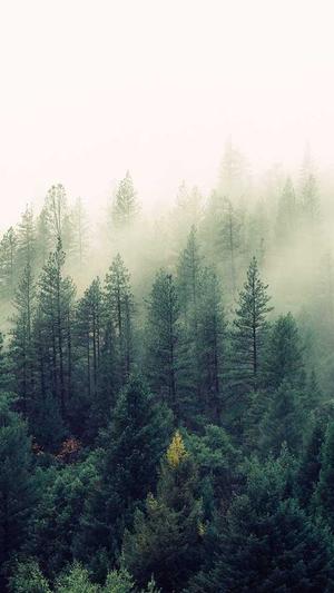 黑料社官网截图1