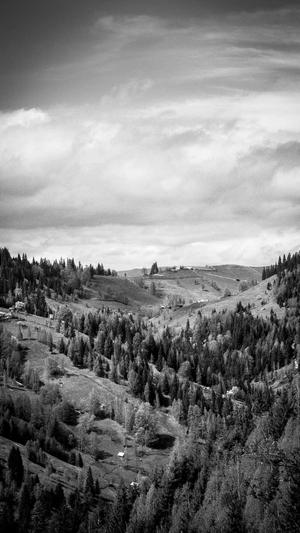 吃哈密瓜的好处与坏处截图3