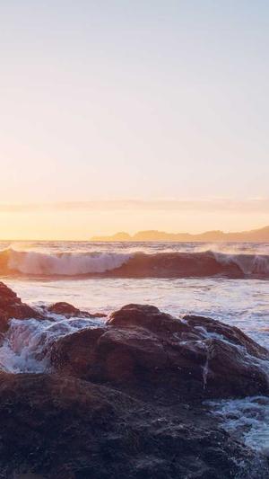 菅田将晖黑料截图1