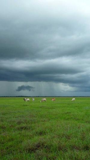 吃佛手瓜的大忌截图4