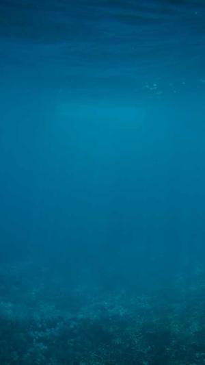 葫芦瓜怎么吃截图2