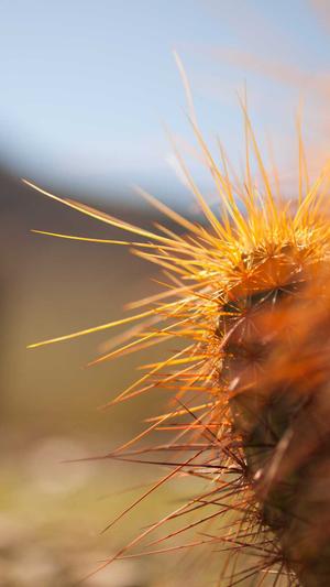 黑料吃瓜网app截图3