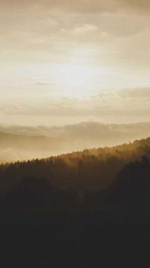 黑料影帝,养崽爆红截图4