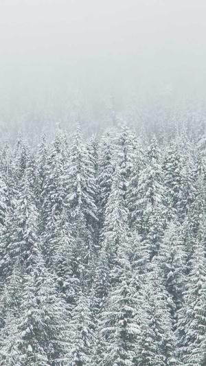 免费吃瓜群截图2