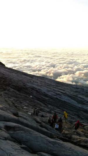 吃哈密瓜能减肥吗截图5