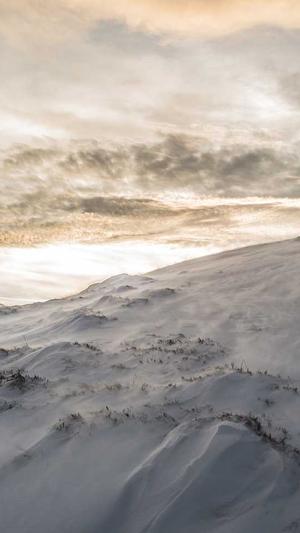 八月瓜是带籽一起吃吗截图1