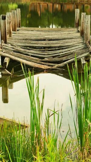 黑料吃瓜 在线截图2