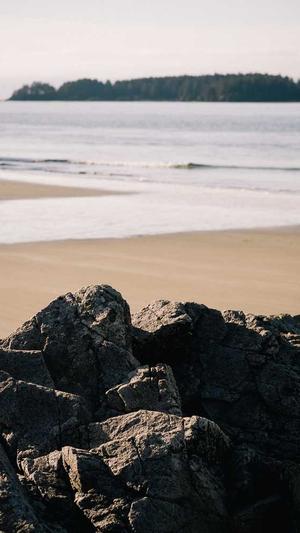 黑料网网站截图3