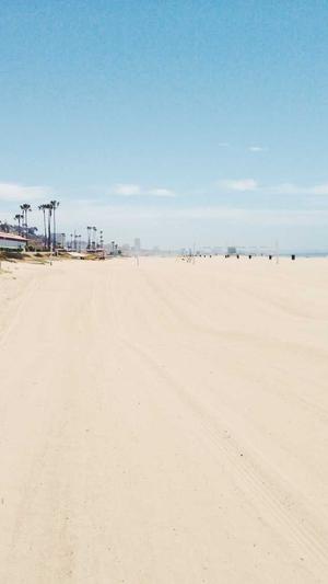 减肥期间可以吃哈密瓜吗截图3