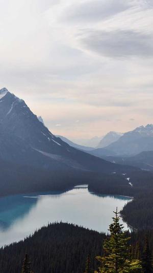 怀孕初期可吃哈密瓜吗截图4
