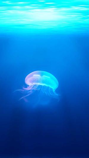 黑料不打烊tttzzz01截图2