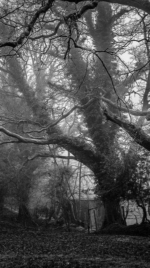 吃瓜合集pdf截图5