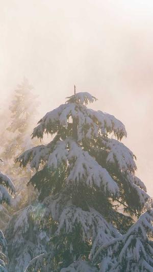 吃瓜,视频截图3