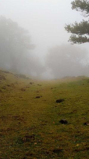 黑料不打烊改成什么名字了截图2