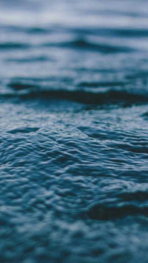 孕妇可以吃佛手瓜截图3