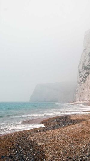 狗狗可以吃哈密瓜截图1