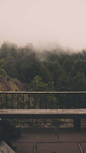 八月炸瓜怎么吃截图4