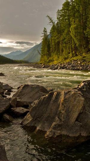 第一黑料影后截图1