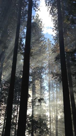 孙艺珍黑料截图4