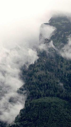 牛腿瓜怎么吃最好截图1