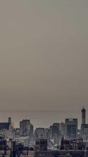 和田玉黑青籽料截图2