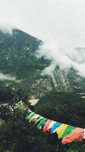 黑料社区官网截图3